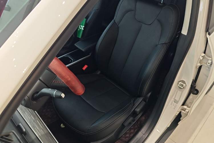 Used NETA V 2022 Chao 400 Lite Left Front Seat