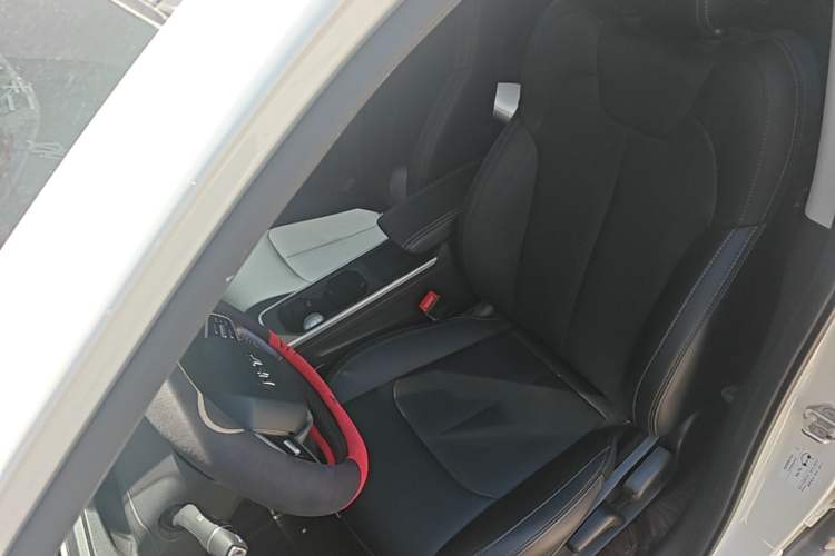 Used NETA V 2022 Chao 400 Lite Left Front Seat