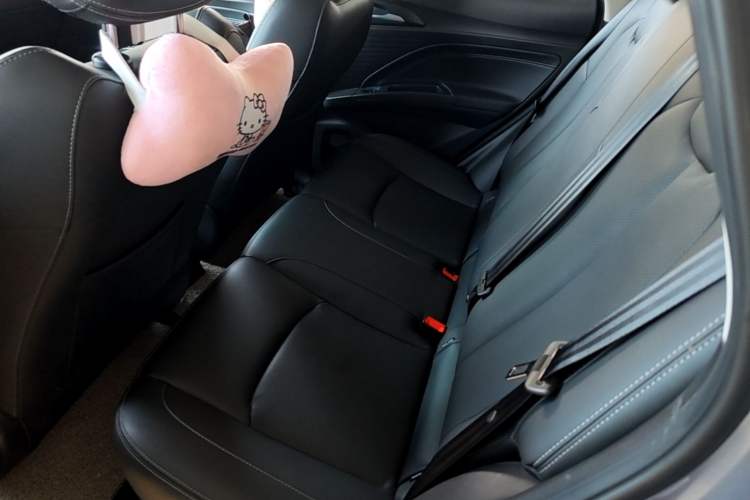 Used NETA V 2022 Long-Range Industry Custom Edition Left Rear Seat