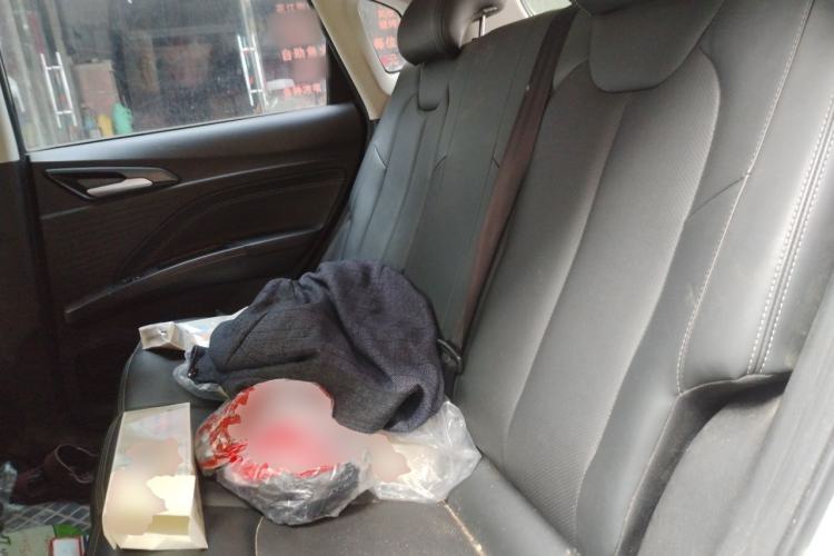 Used NETA V 2022 Pro Long-Range Smart Edition Left Rear Seat