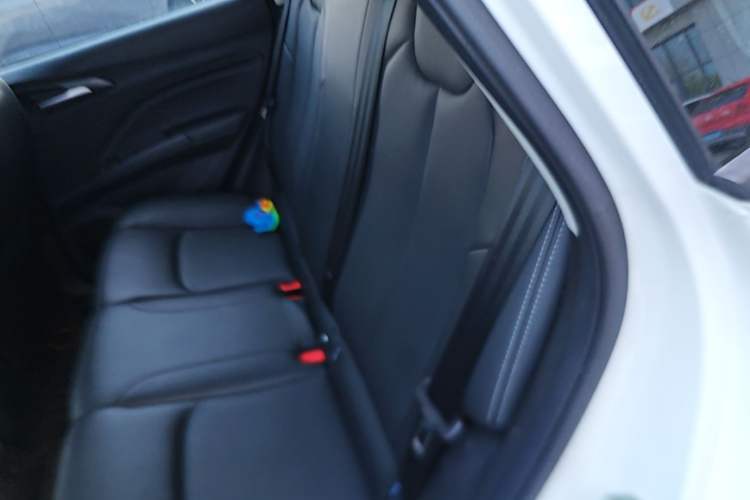 Used NETA V 2022 Long-Range Industry Custom Edition Left Rear Seat