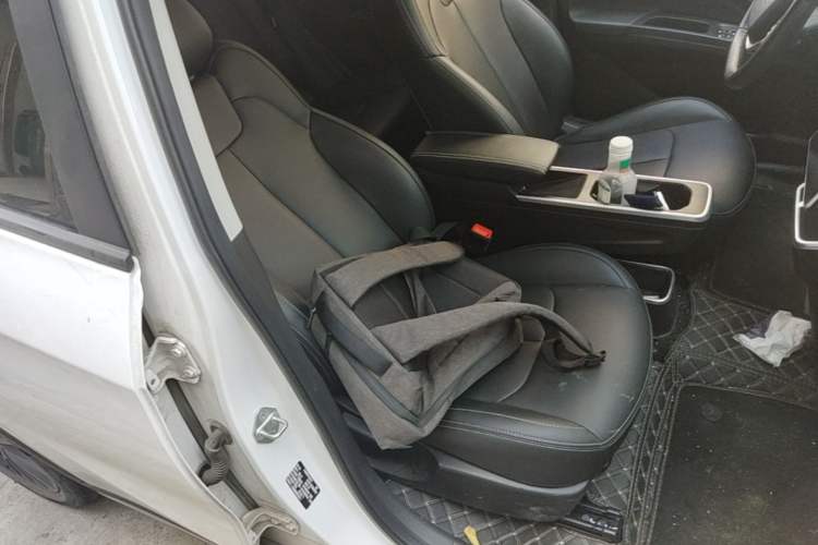 Used NETA V 2022 Pro Industry Custom Edition Right Front Seat