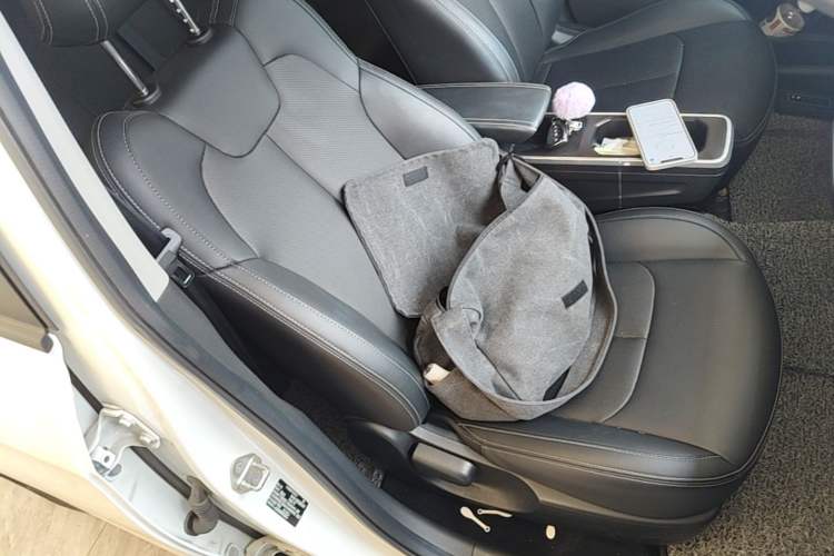 Used NETA V 2022 Chao 300 Lite Ternary Lithium Right Front Seat