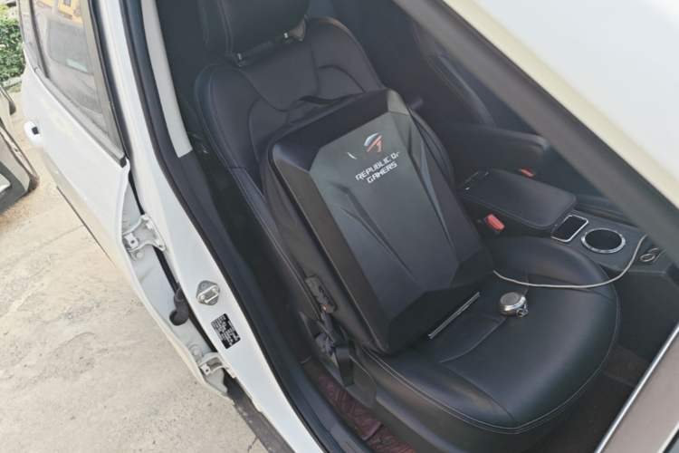 Used NETA V 2022 Standard Range Industry Custom Edition Right Front Seat
