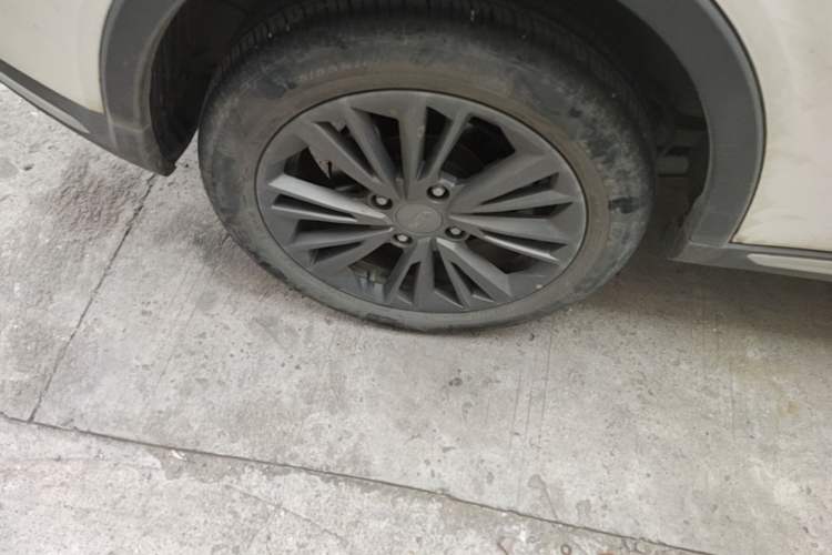 Used NETA V 2022 Pro Industry Custom Edition Right Rear Wheel Hub