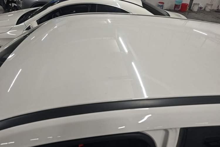 Used NETA V 2022 Chao 300 Industry Custom Edition Roof
