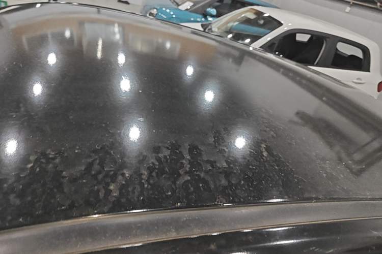 Used NETA V 2022 Chao 300 Lite Lithium Iron Phosphate Roof