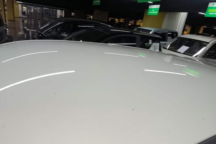 Used NETA V 2022 Chao 400 Lite Roof