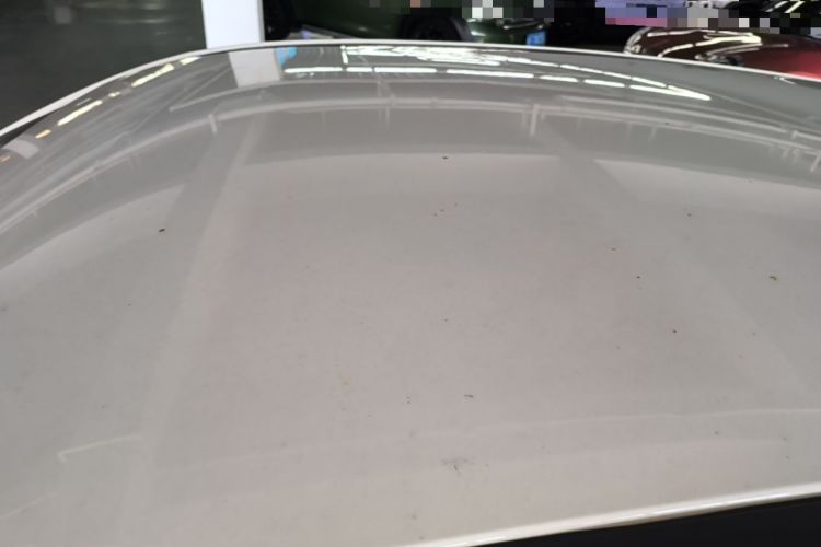 Used NETA V 2022 Chao 300 Lite Lithium Iron Phosphate Roof