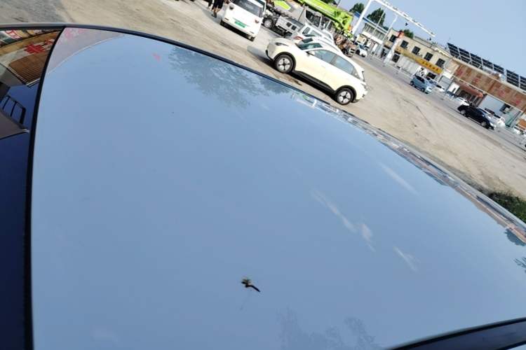 Used NETA V 2022 Chao 400 Lite Roof
