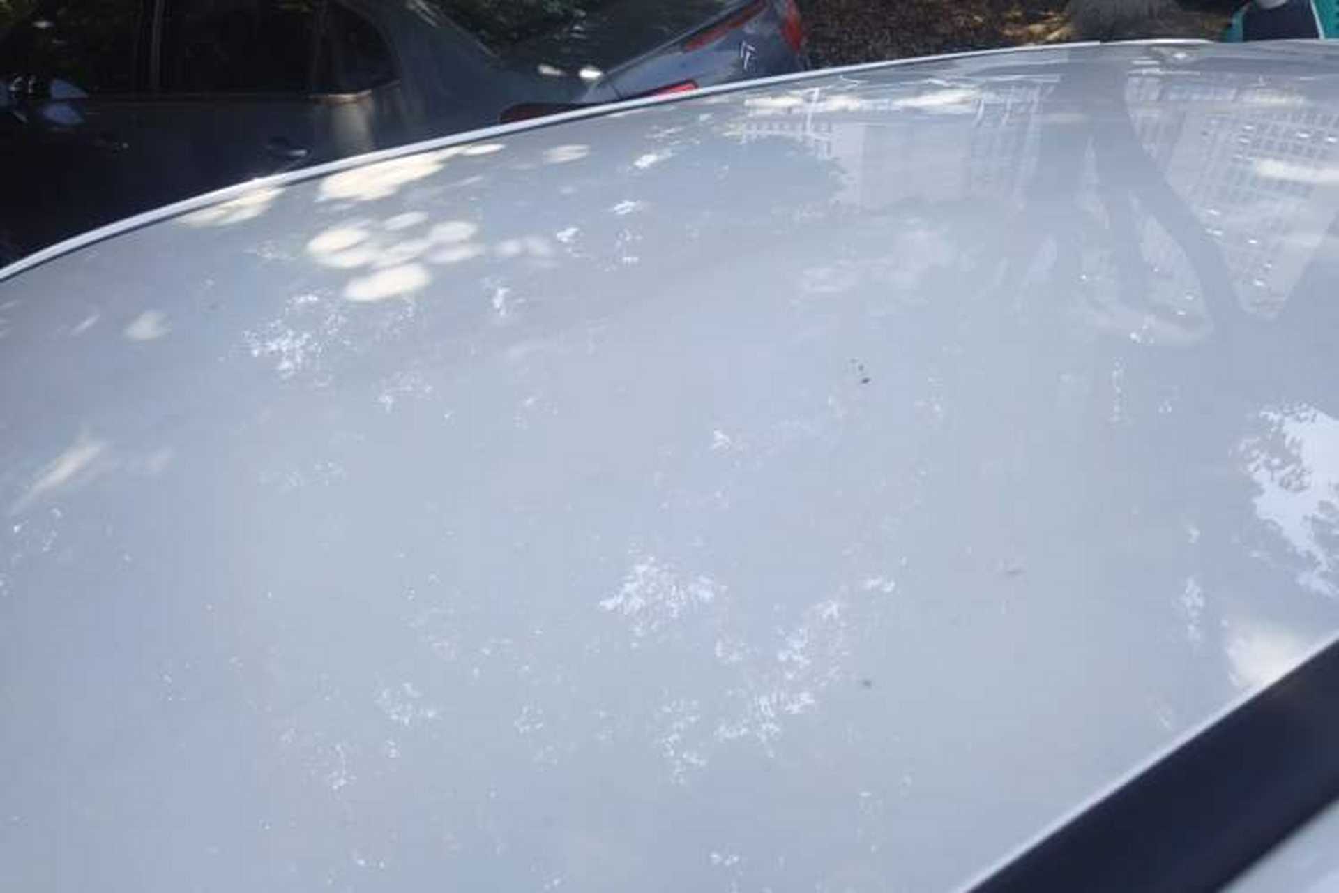 Used NETA V 2022 Chao 400 Lite Roof