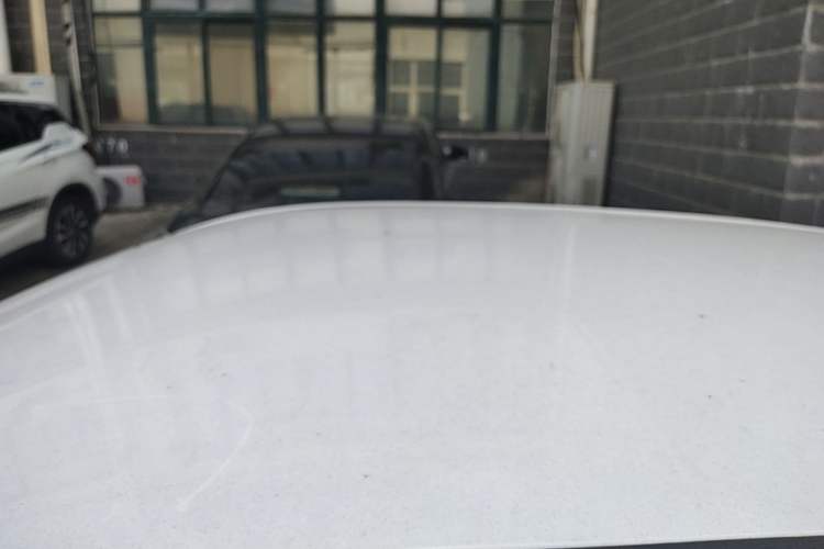 Used NETA V 2022 Pro Industry Custom Edition Roof