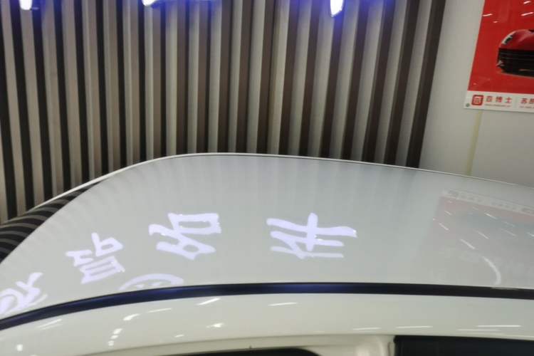 Used NETA V 2022 Chao 300 Lite Ternary Lithium Roof