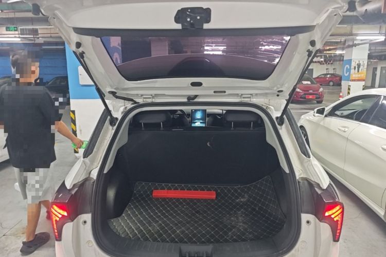 Used NETA V 2022 Chao 300 Industry Custom Edition Trunk