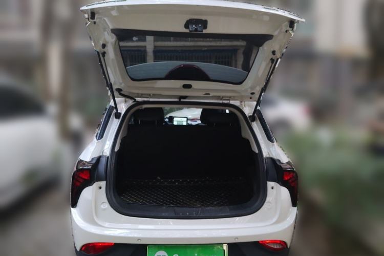 Used NETA V 2022 Pro Long-Range Smart Edition Trunk
