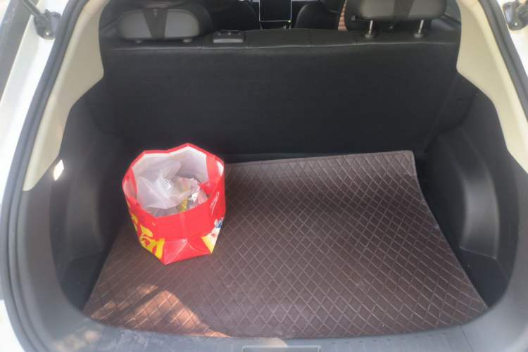 Used NETA V  Trunk