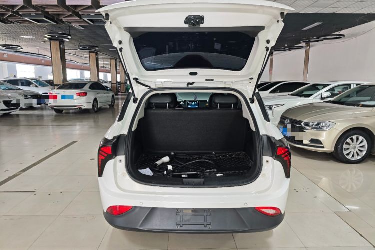 Used NETA V 2022 Long-Range Industry Custom Edition Trunk
