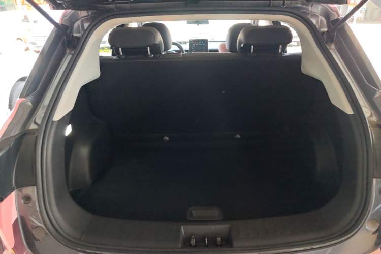 Used NETA V 2022 Long-Range Industry Custom Edition Trunk