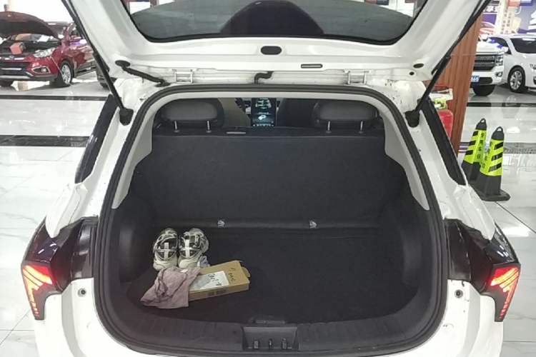 Used NETA V 2022 Pro Long-Range Smart Edition Trunk