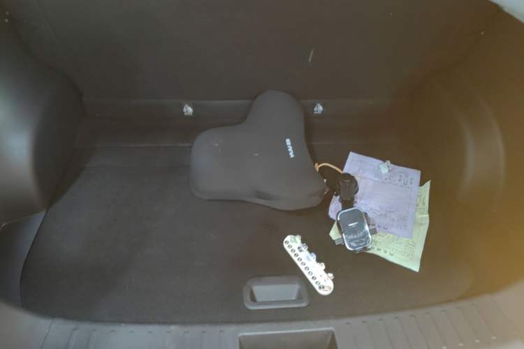 Used NETA V 2022 Chao 400 Lite Trunk