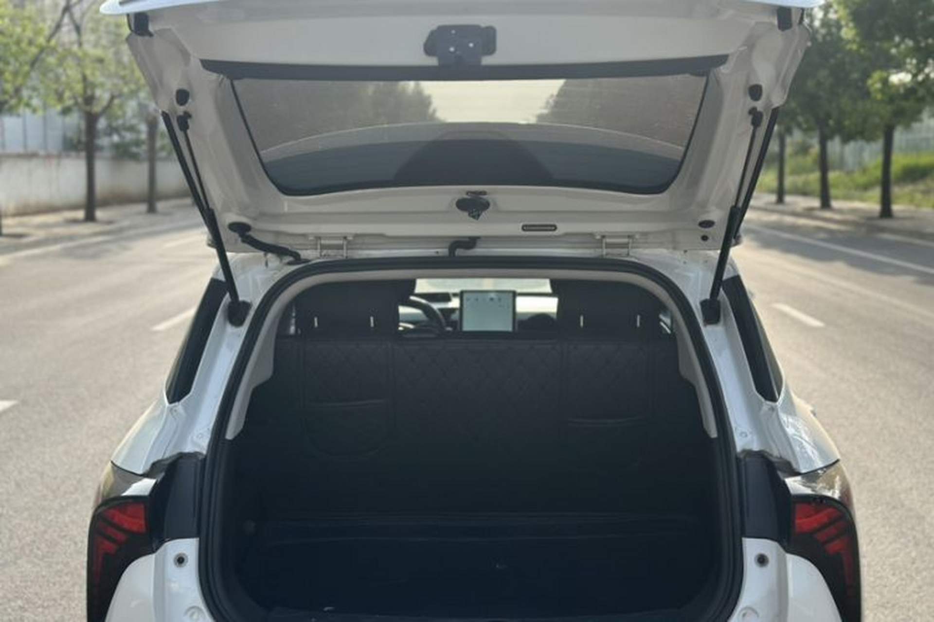 Used NETA V 2022 Standard Range Industry Custom Edition Trunk