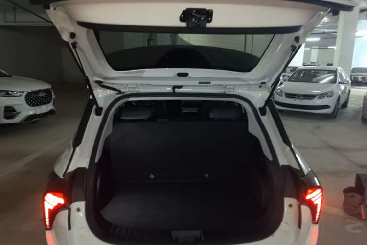 Used NETA V 2022 Chao 400 Lite Trunk