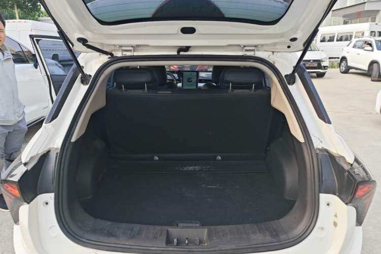 Used NETA V 2022 Standard Range Industry Custom Edition Trunk