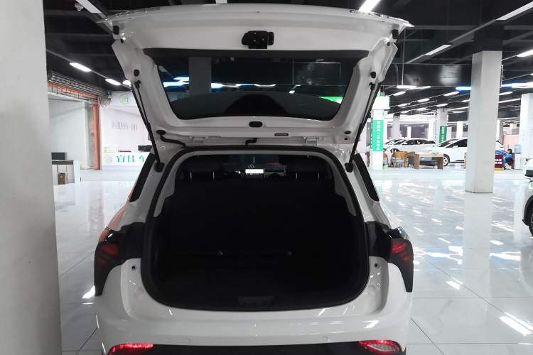 Used NETA V 2022 Pro Long-Range Smart Edition Trunk