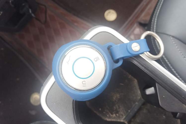 Used NETA V 2022 Pro Long-Range Smart Edition Vehicle Key