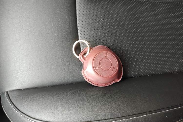 Used NETA V 2022 Long-Range Industry Custom Edition Vehicle Key