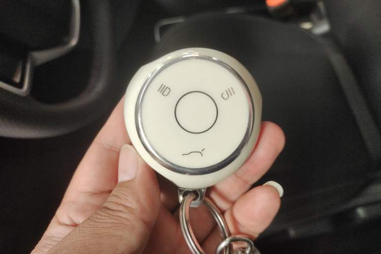 Used NETA V 2022 Standard Range Industry Custom Edition Vehicle Key