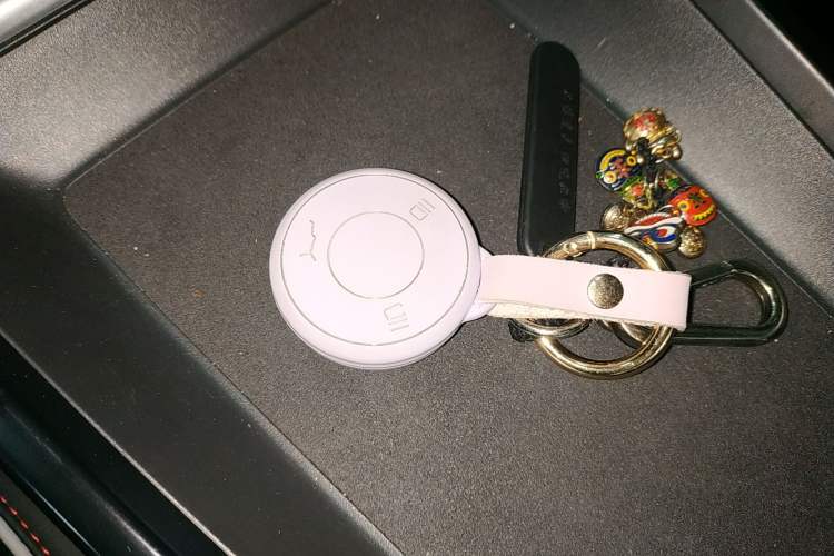 Used NETA X 2023 500 Lite Vehicle Key