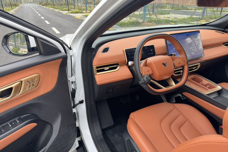 Used NETA X 2023 500 Lite Interior 4