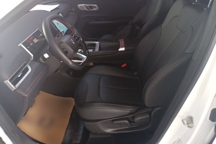 Used NETA X 2024 500 First Edition Left Front Seat