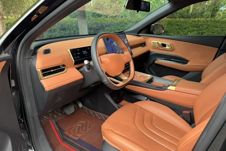 Used NETA X 2023 500 Lite Interior 10