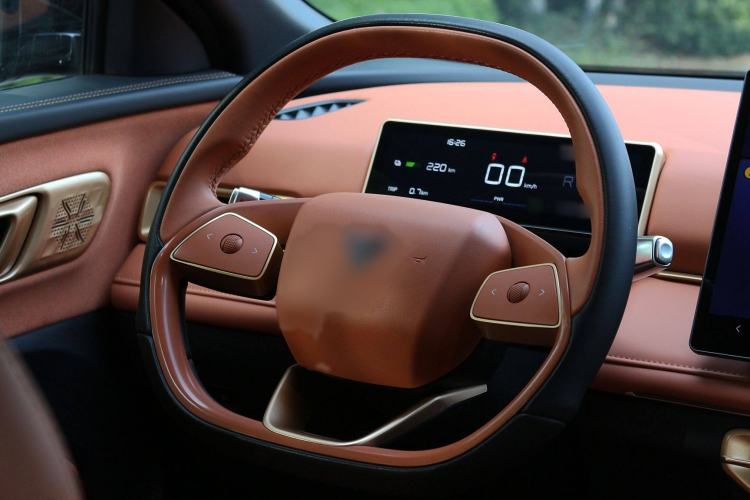 Used NETA X 2023 500 Lite Interior 8
