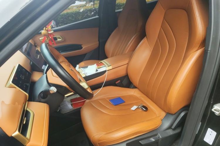 Used NETA X 2023 500 Lite Left Front Seat