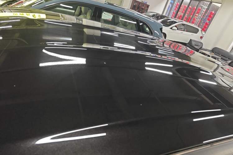 Used NETA X 2023 500 Lite Roof