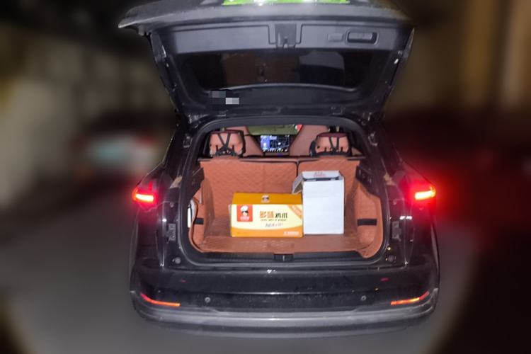 Used NETA X 2023 500 Lite Trunk