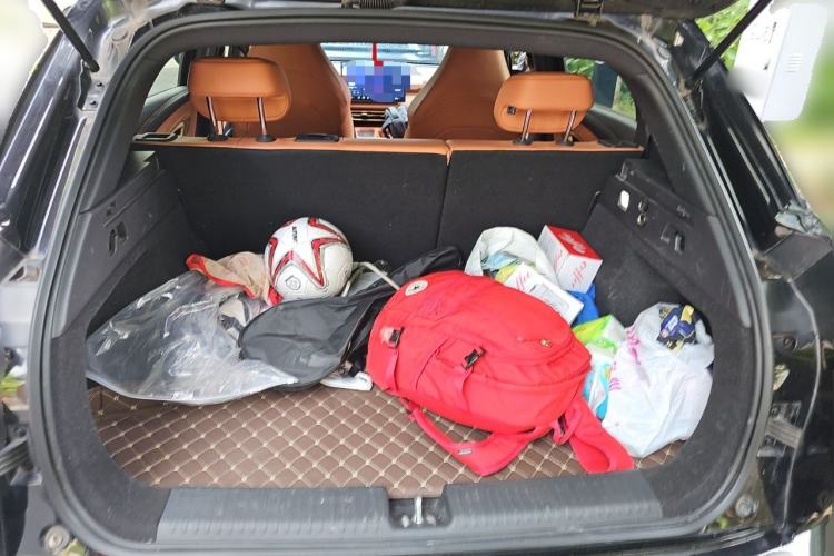 Used NETA X 2023 400 Lite Trunk