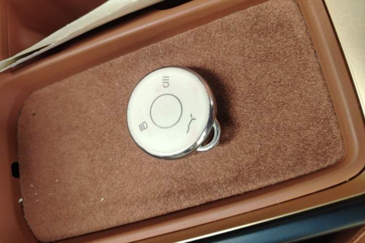 Used NETA X 2023 500 Vehicle Key