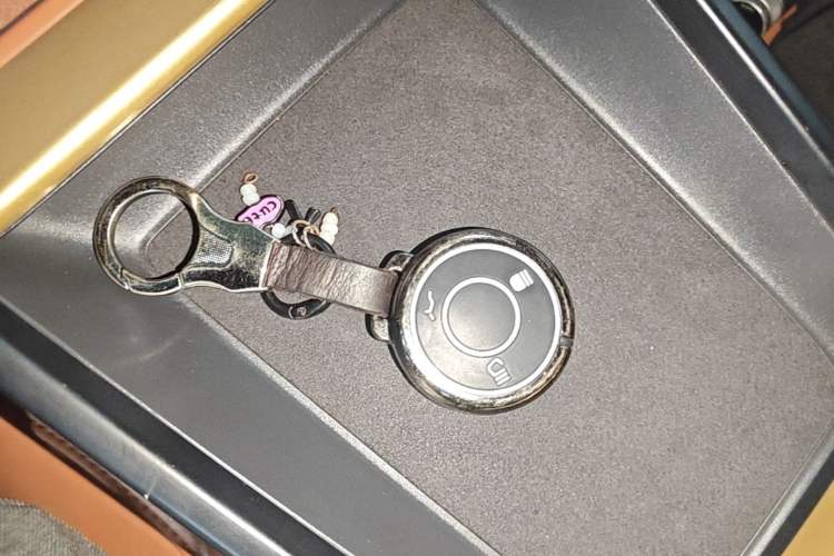 Used NETA X 2023 500 Lite Vehicle Key