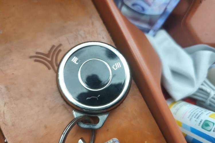 Used NETA X 2023 500 Lite Vehicle Key