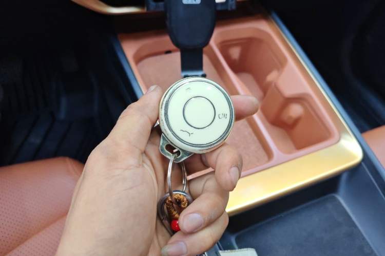 Used NETA X 2023 500 Lite Vehicle Key