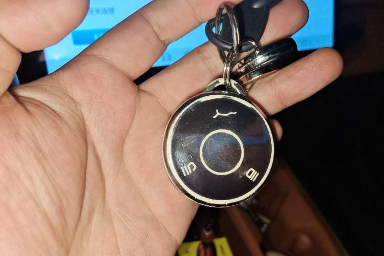 Used NETA X 2023 400 Lite Vehicle Key