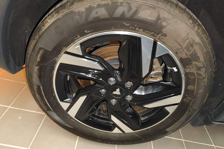 Used NETA X 2023 400 Lite Exterior 5