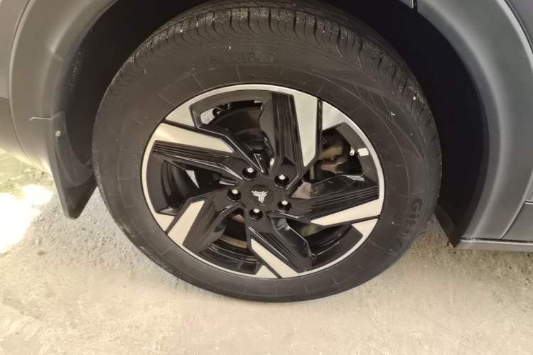 Used NETA X 2023 500 Lite Exterior 5