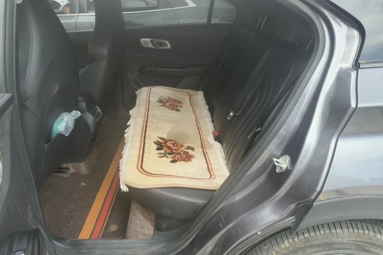 Used NETA X 2023 500 Lite Interior 4