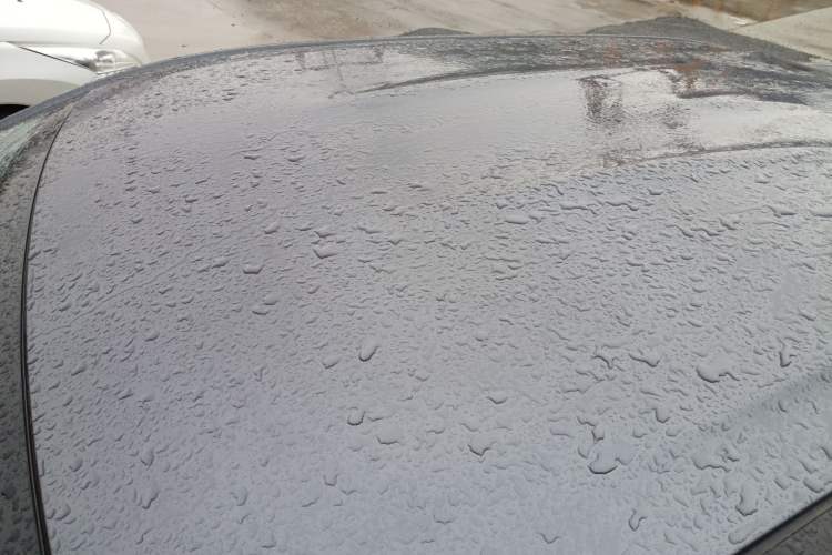 Used NETA X 2023 500 Lite Roof