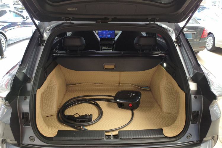 Used NETA X 2023 500 Trunk